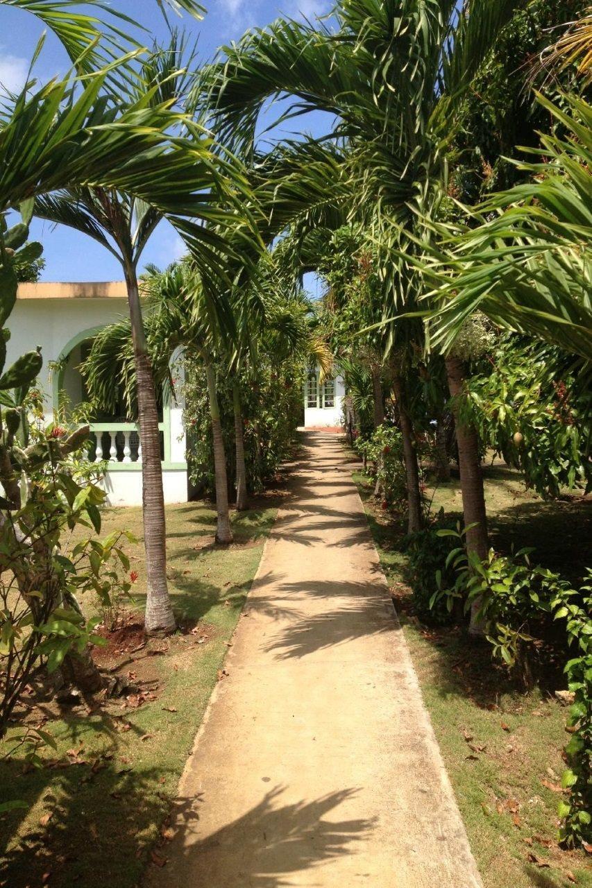Hidden Paradise Resort Hotel نيغريل المظهر الخارجي الصورة