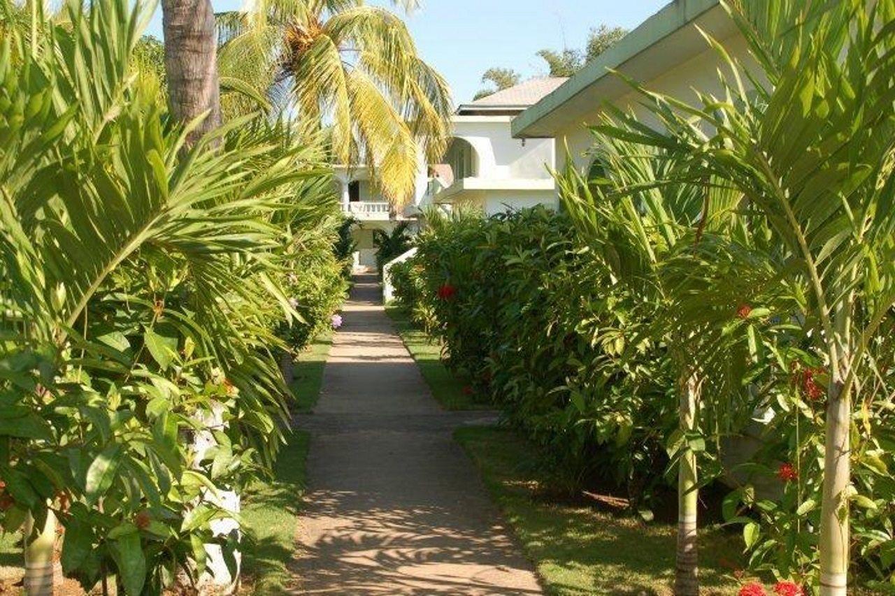 Hidden Paradise Resort Hotel نيغريل المظهر الخارجي الصورة